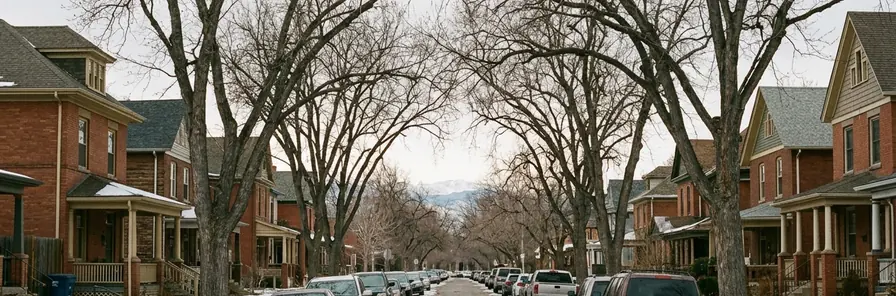 A tree-lined street of brick Denver houses with deep porches, snow along the verge, and the snow-covered Front Range closing the view at the end of the block